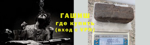 прущие грибы Алзамай