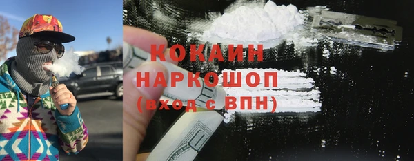 тгк Алексин