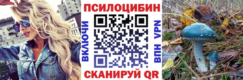 blacksprut как зайти  Алексеевка  Галлюциногенные грибы Psilocybine cubensis  как найти закладки 